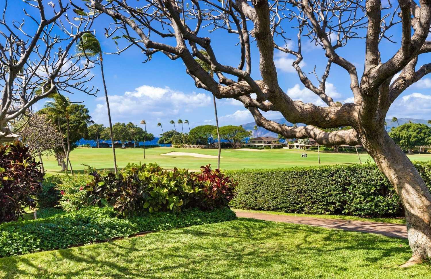 ホテル Maui Eldorado - L-105 - カハナ エクステリア 写真