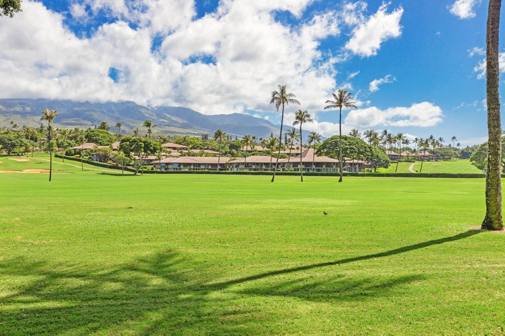 ホテル Maui Eldorado - L-105 - カハナ エクステリア 写真
